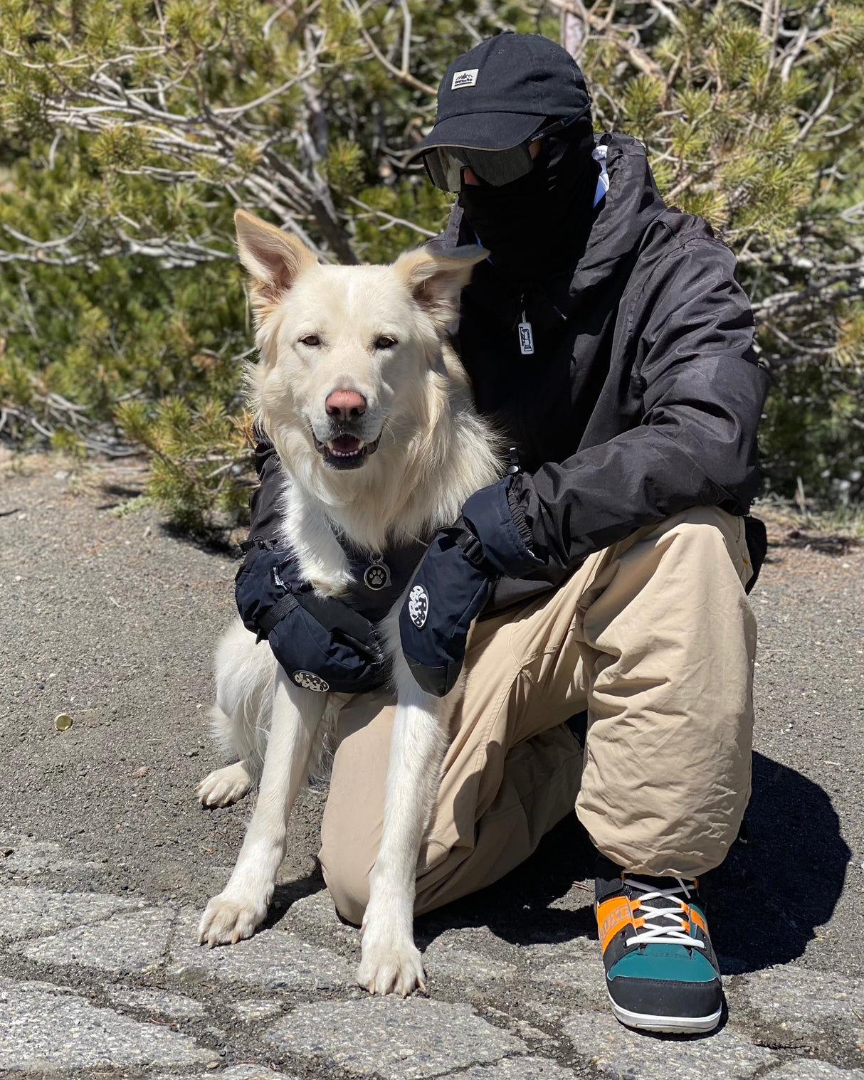 Tahoe Sunglasses // Wolfe Colab